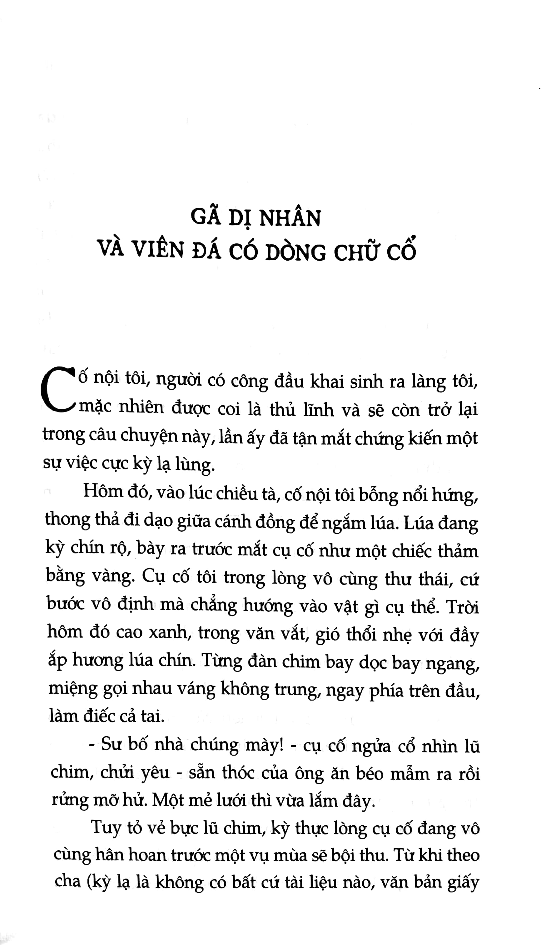 đất mồ côi - Ảnh 5