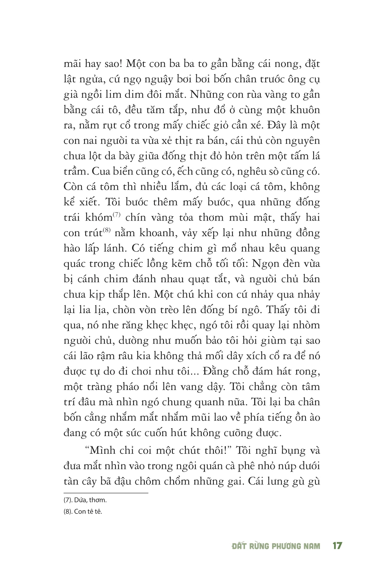 đất rừng phương nam - bìa cứng (tái bản 2025) - Ảnh 7