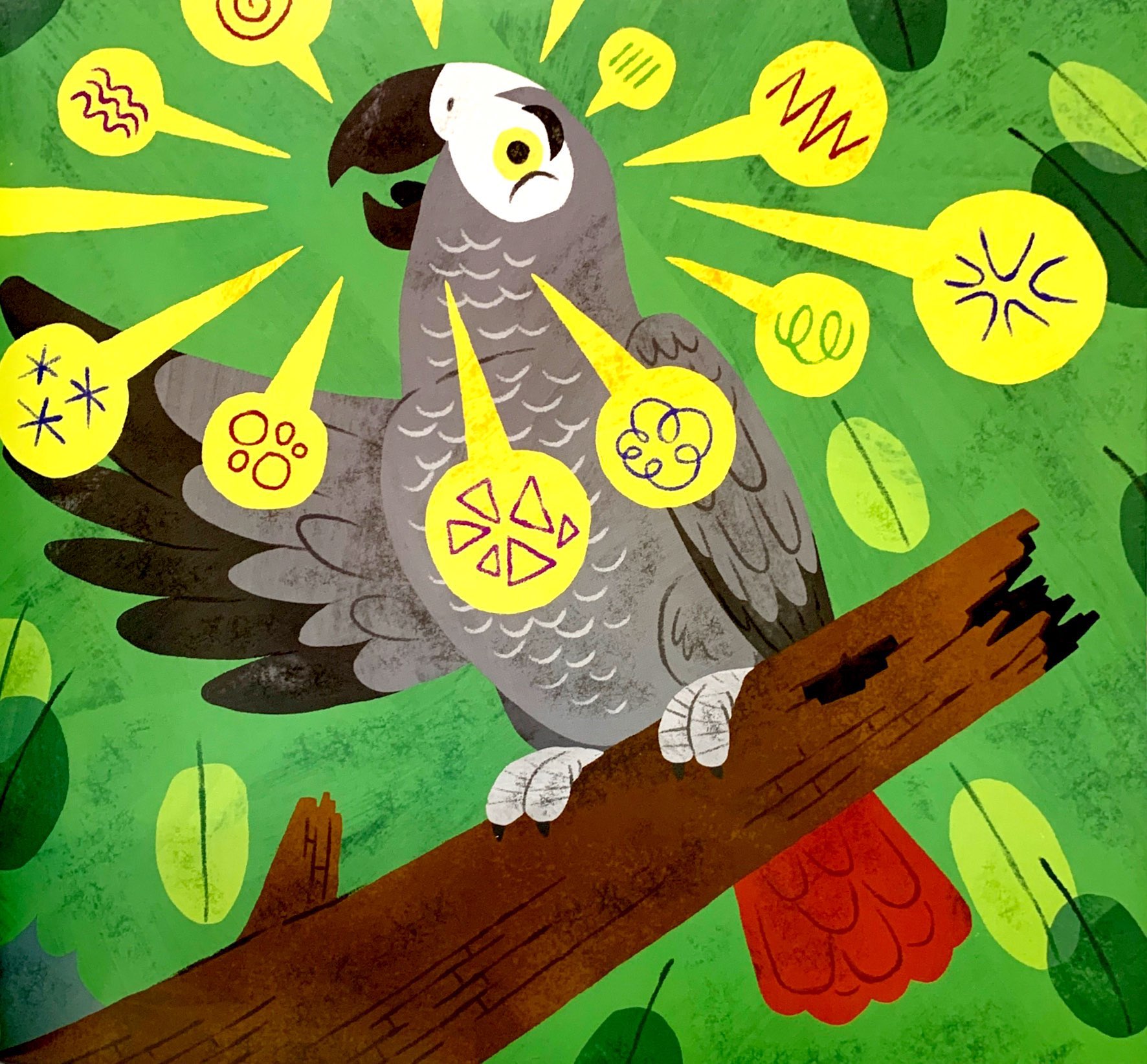 đấu não so tài - khoa học đẳng sau não bộ muôn loài - Ảnh 5