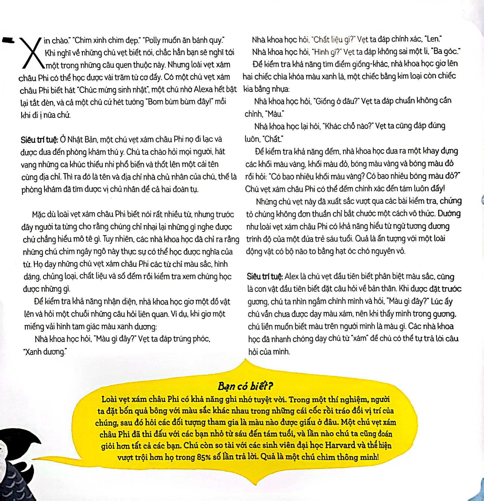 đấu não so tài - khoa học đẳng sau não bộ muôn loài - Ảnh 6