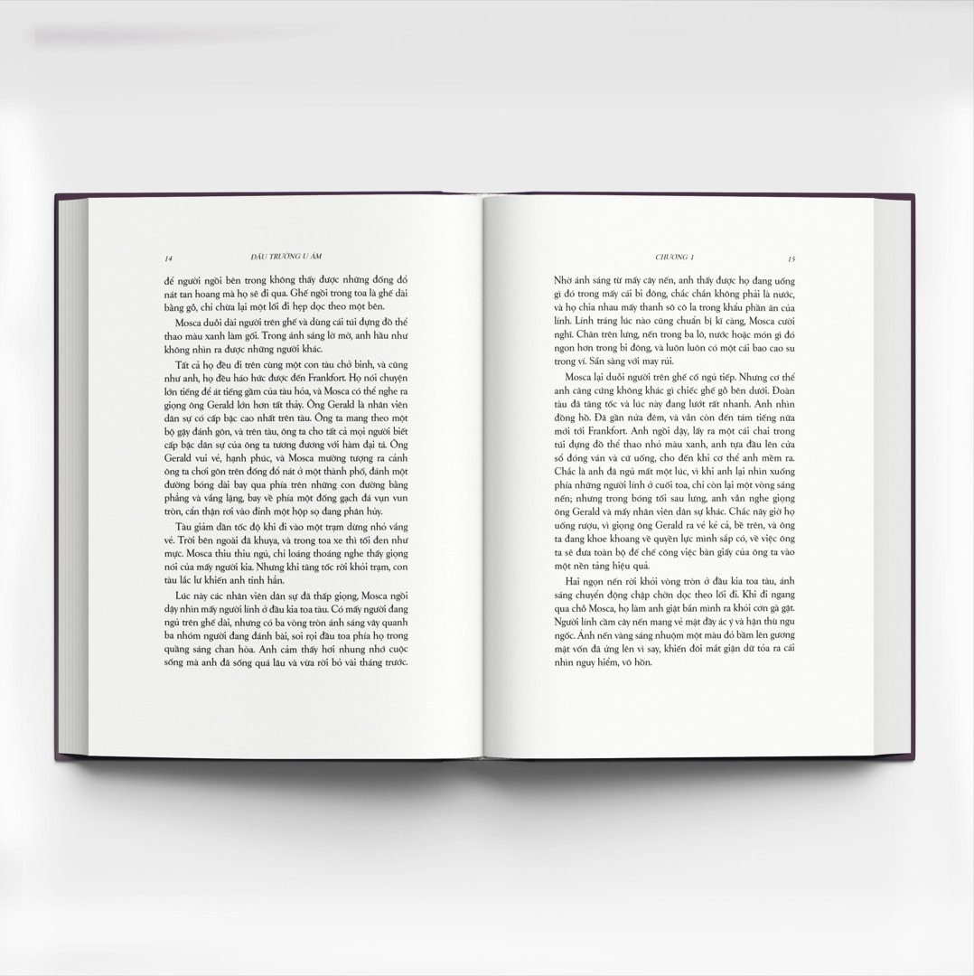 đấu trường u ám - Ảnh 3