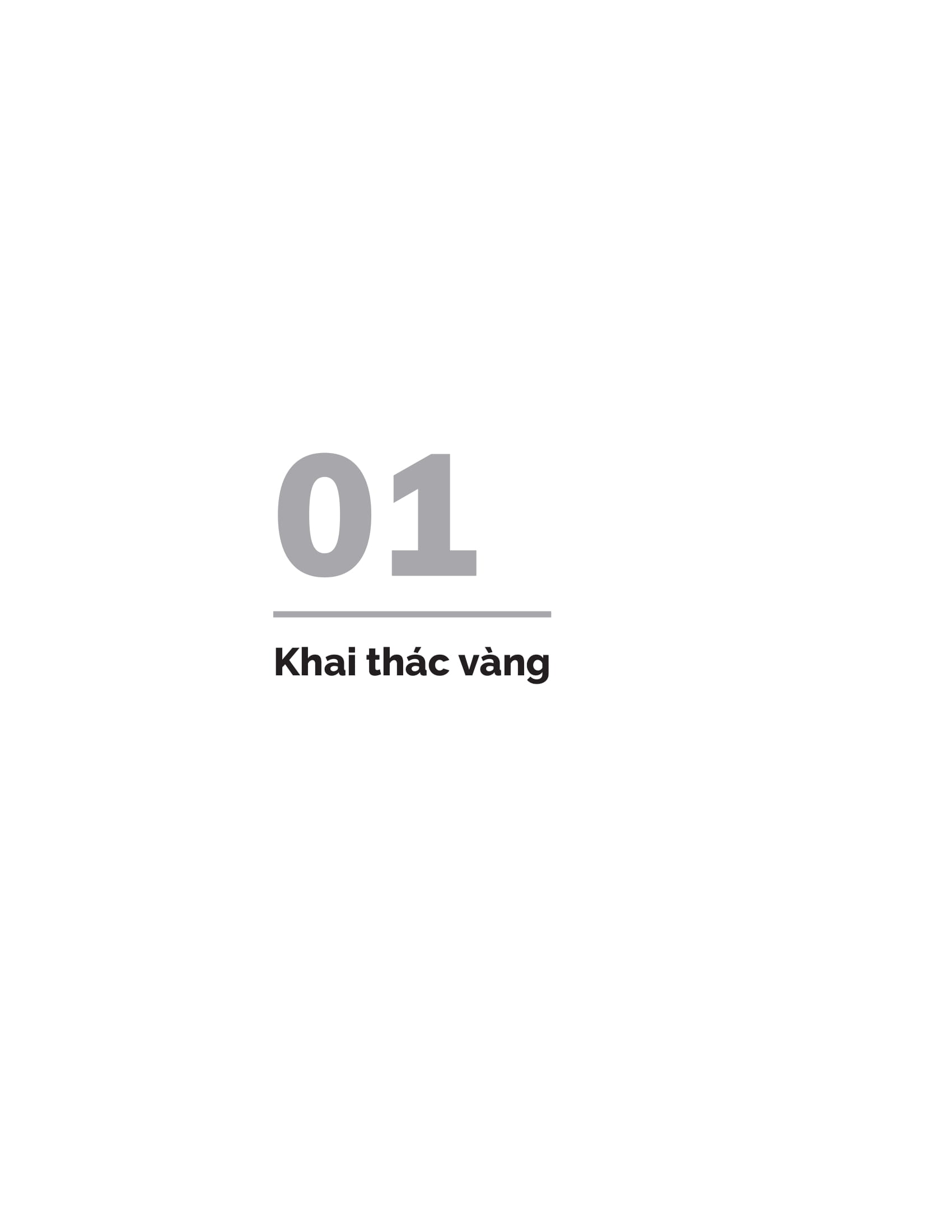 đầu tư vào vàng - khoản đầu tư tuyệt đối an toàn thiết yếu cho mọi danh mục đầu tư (tái bản 2024) - Ảnh 12