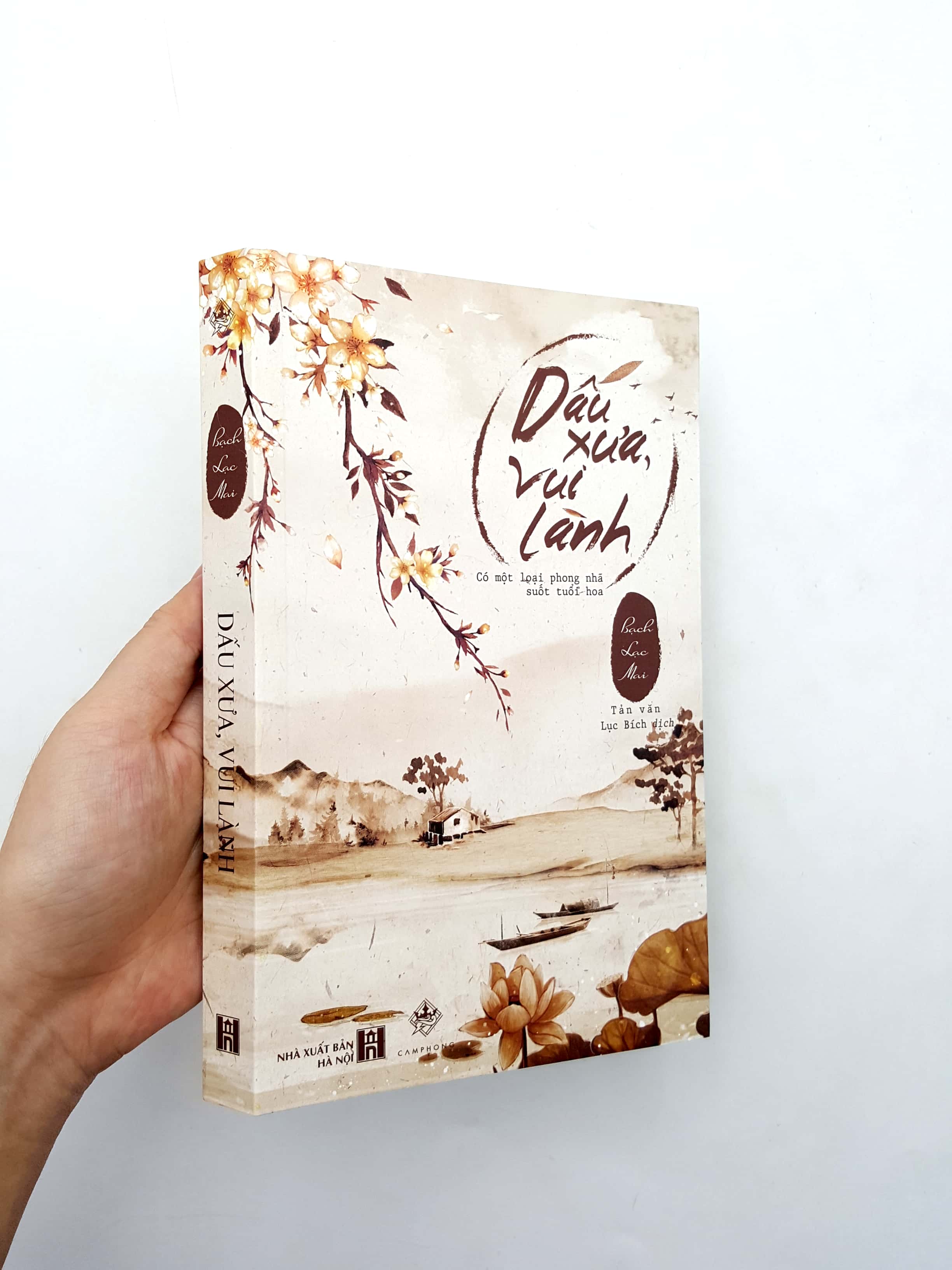 dấu xưa, vui lành - Ảnh 10