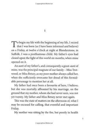 david copperfield (puffin classics) - Ảnh 22