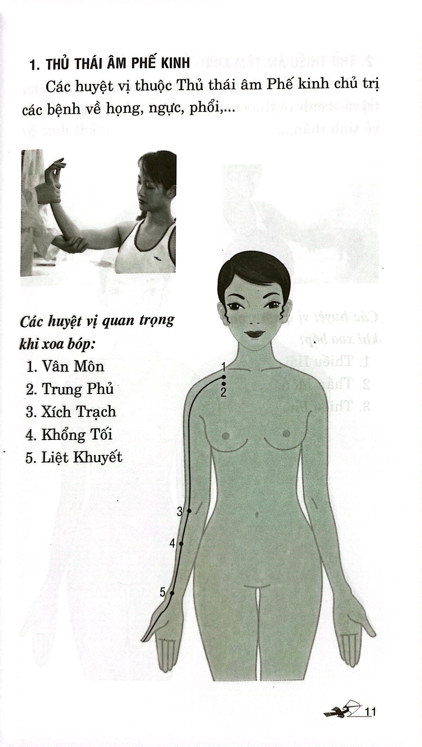 day ấn xoa bóp trị liệu 20 bệnh thường gặp (tái bản 2024) - Ảnh 9