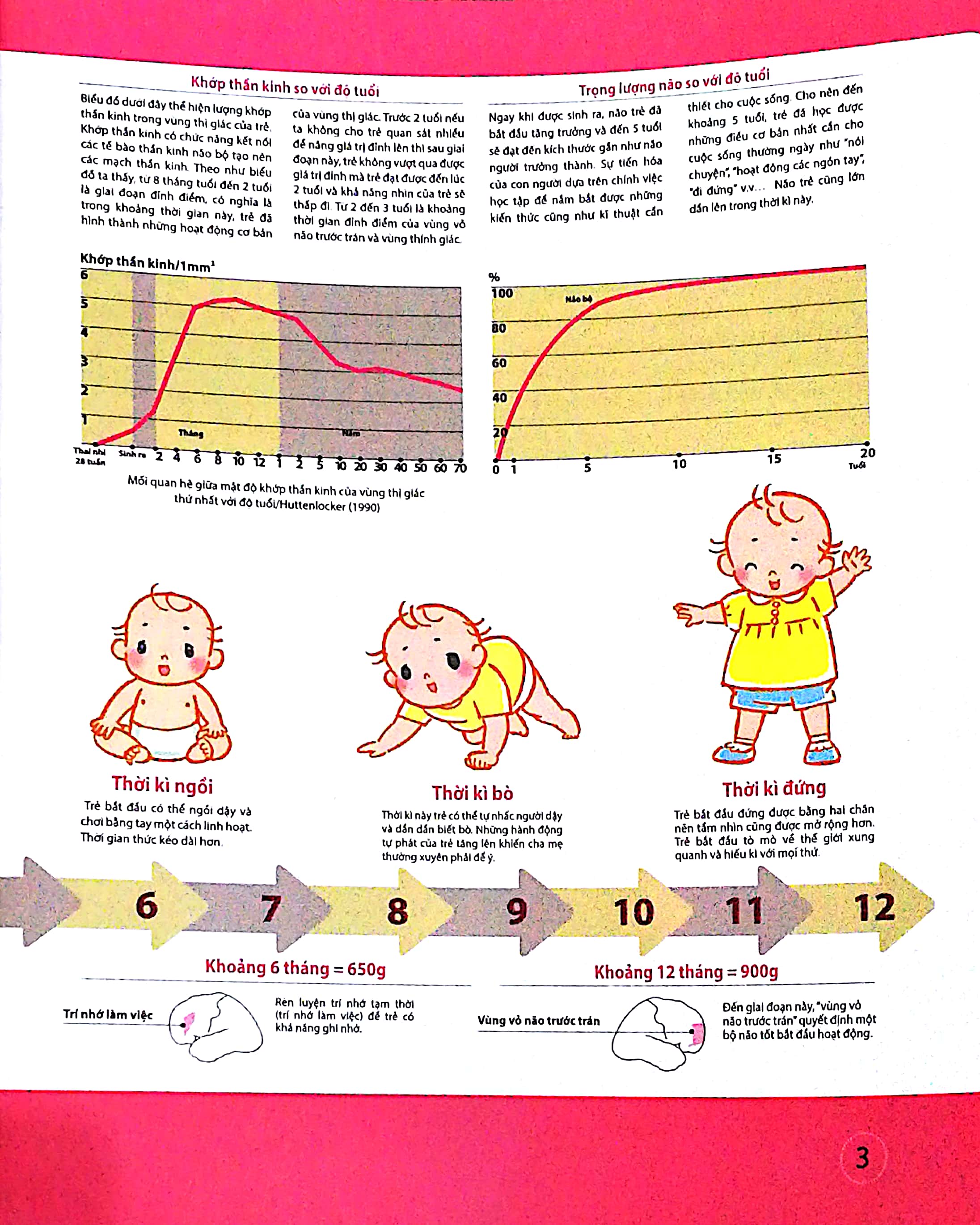 dạy con kiểu nhật - giai đoạn 0 tuổi (tái bản) - Ảnh 4