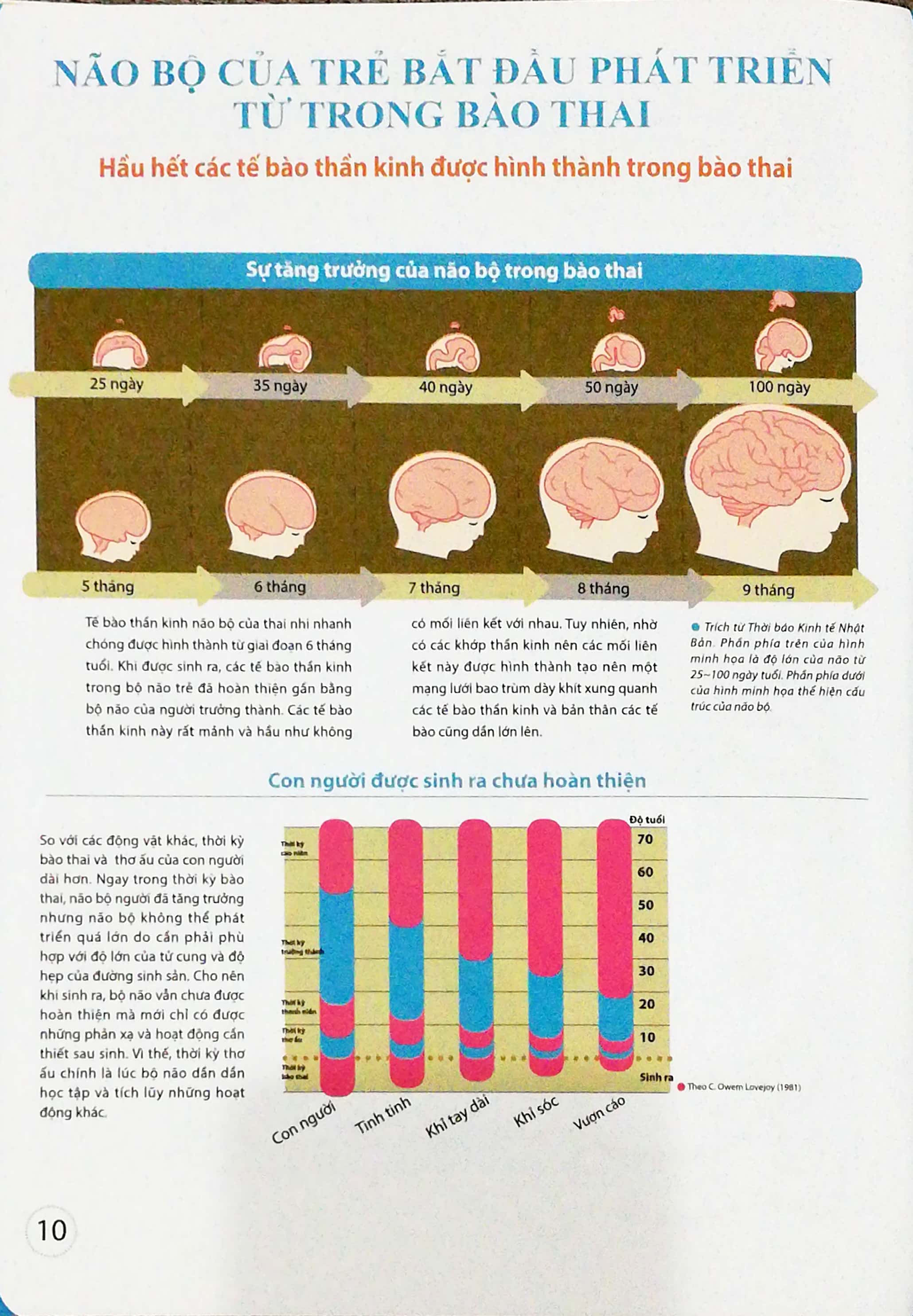 dạy con kiểu nhật - giai đoạn 0 tuổi (tái bản) - Ảnh 7