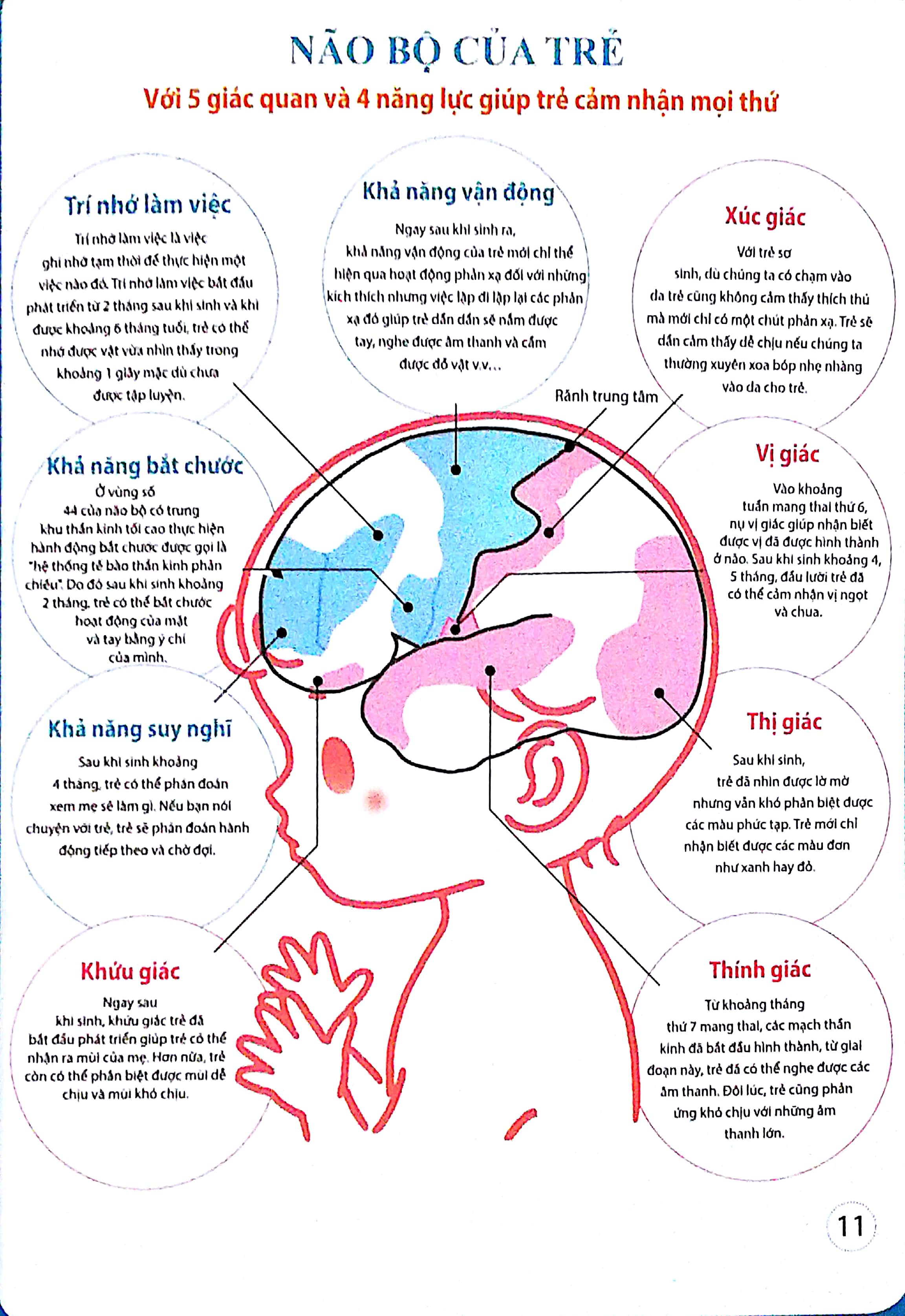 dạy con kiểu nhật - giai đoạn 0 tuổi (tái bản) - Ảnh 8