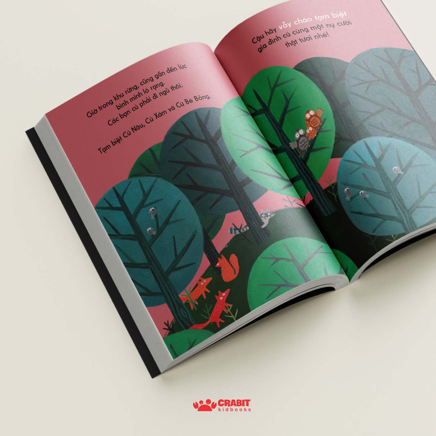 đây là cú nâu - bìa cứng - Ảnh 3