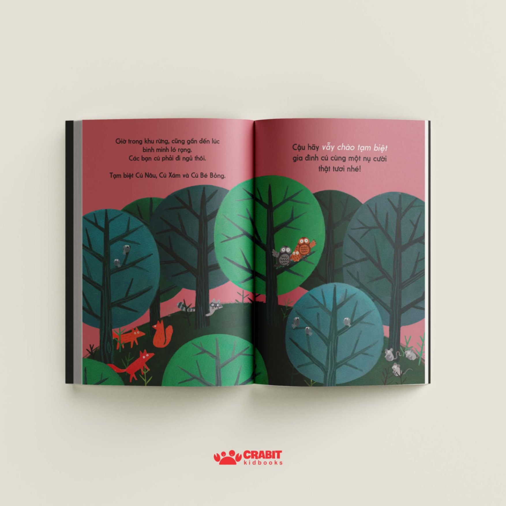 đây là cú nâu - bìa cứng - Ảnh 5