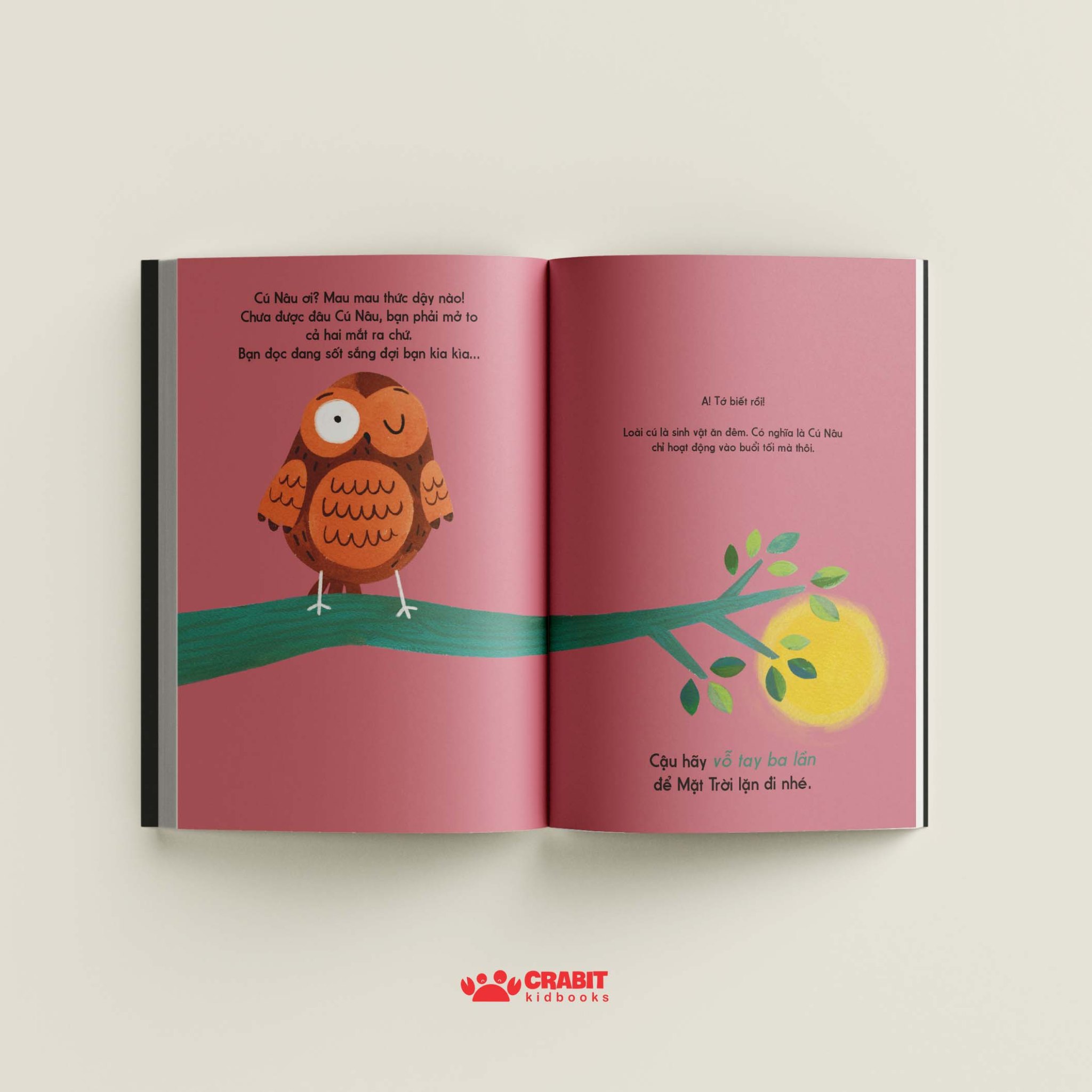 đây là cú nâu - bìa cứng - Ảnh 6