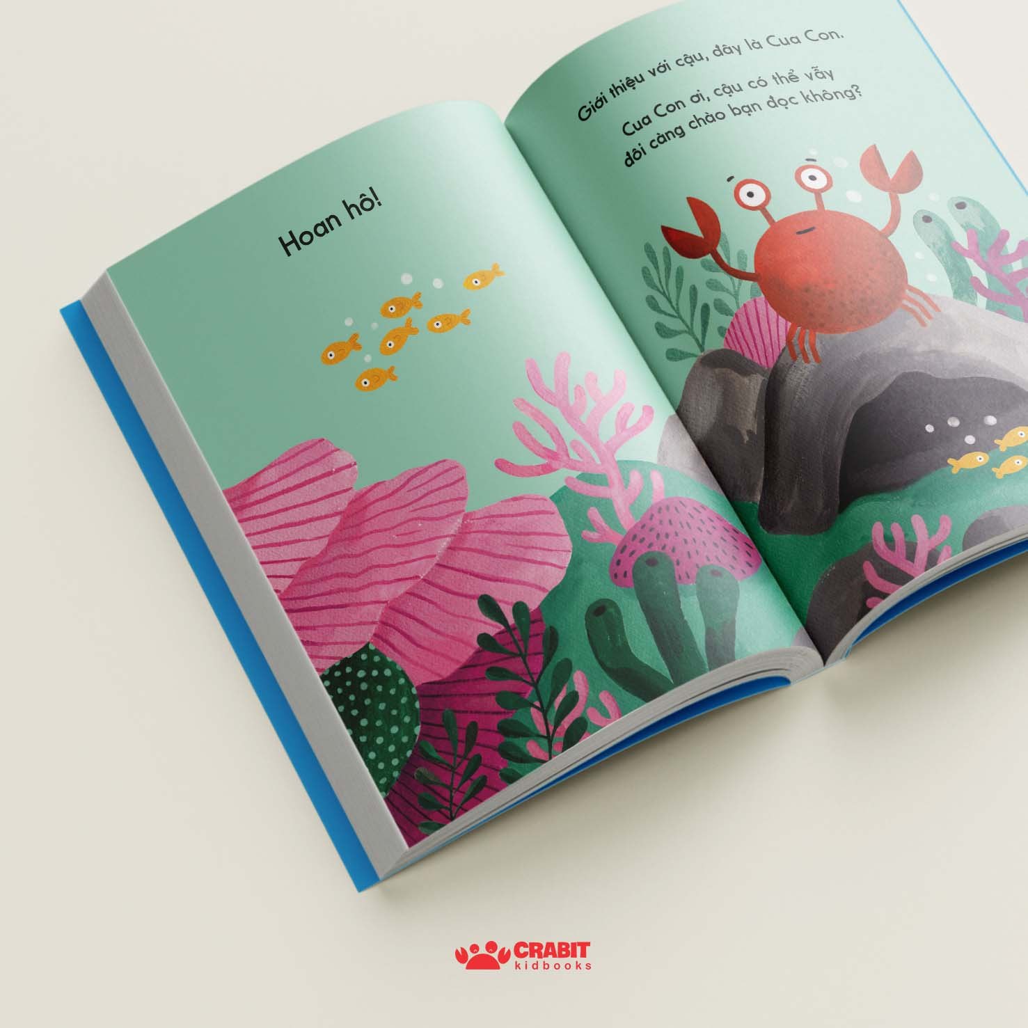 đây là cua con - bìa cứng - Ảnh 3