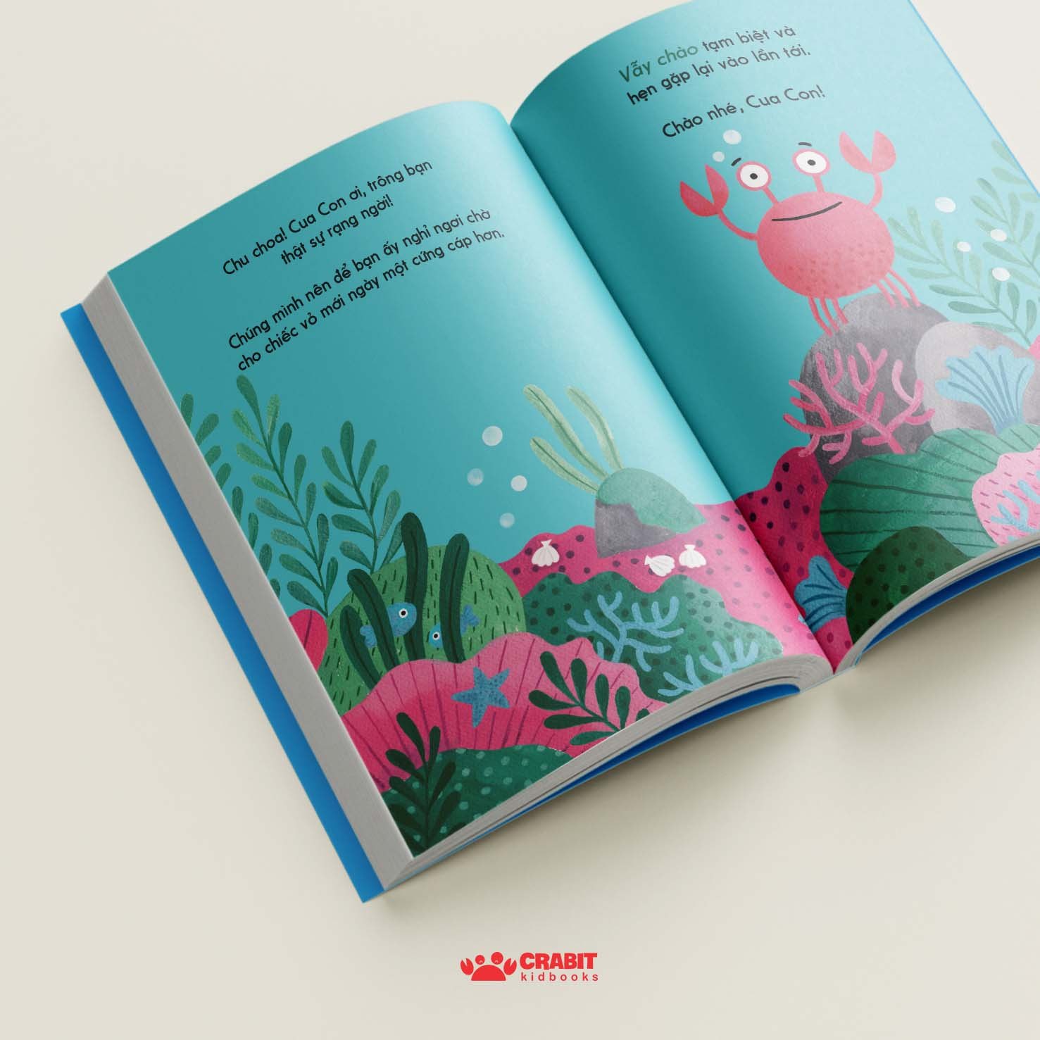 đây là cua con - bìa cứng - Ảnh 4