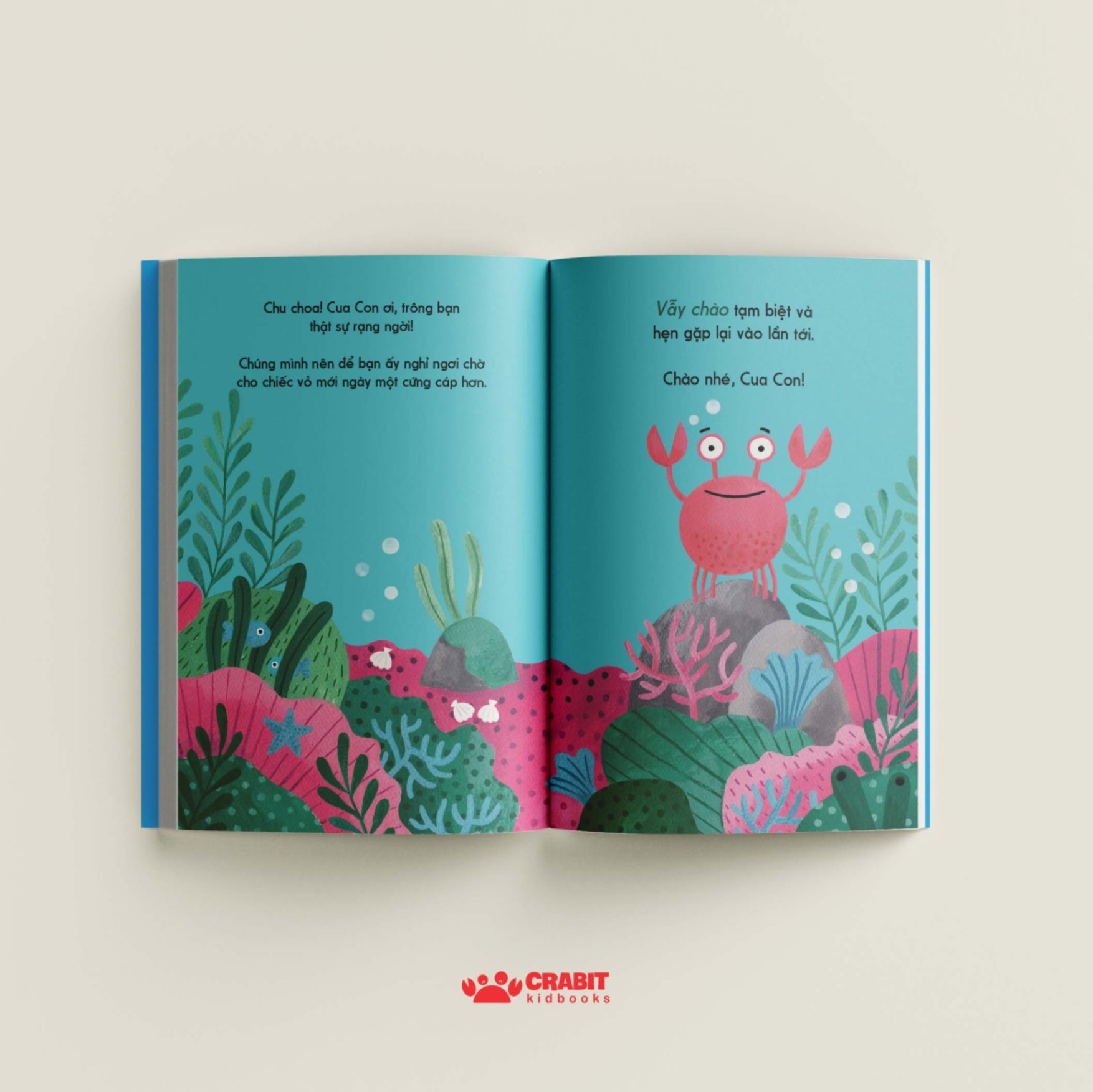 đây là cua con - bìa cứng - Ảnh 5