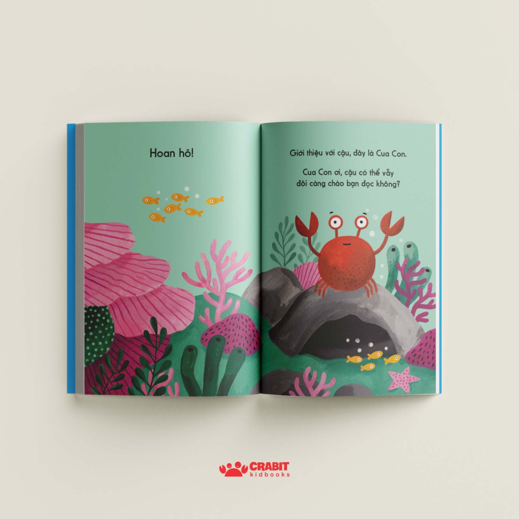 đây là cua con - bìa cứng - Ảnh 7