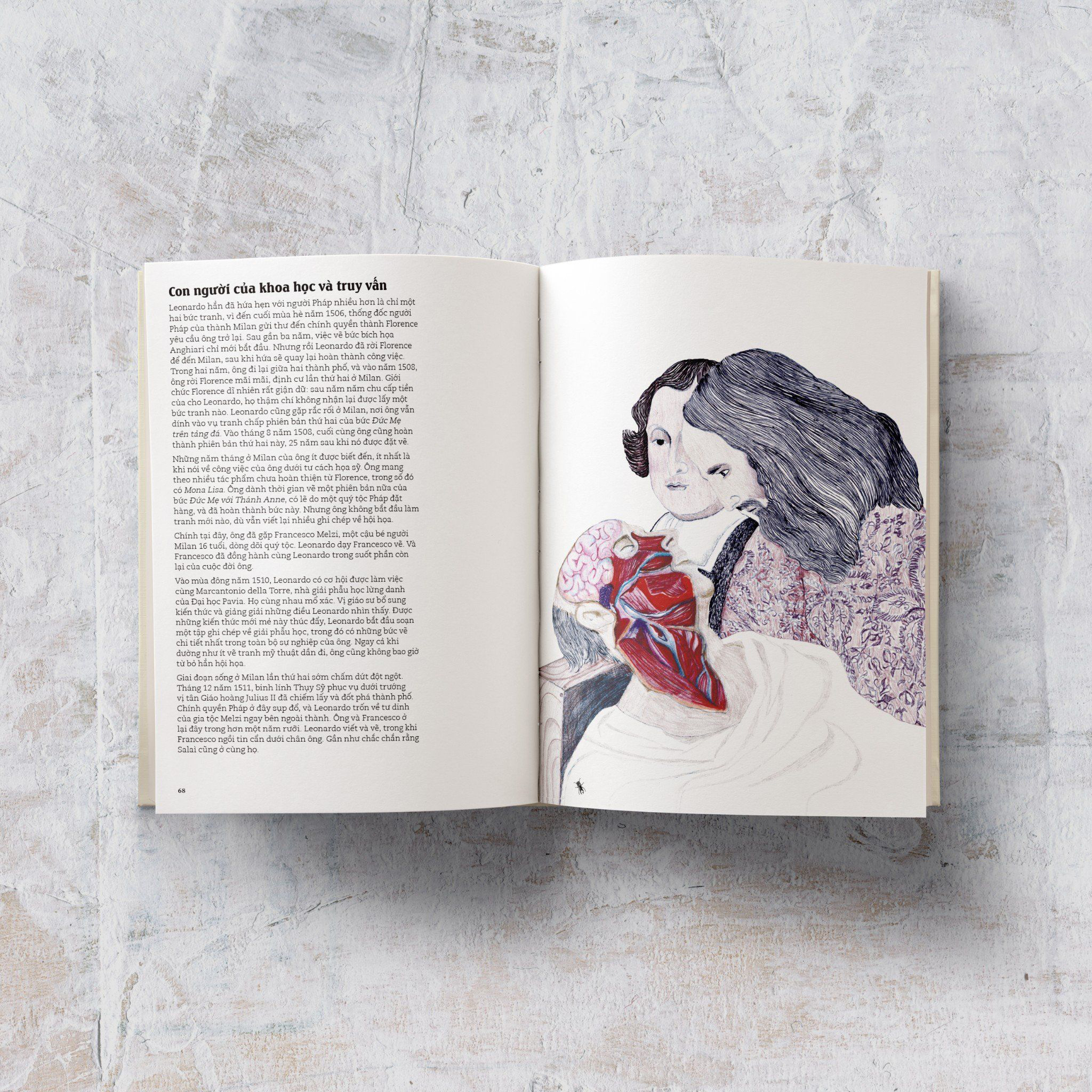 đây là leonardo da vinci - Ảnh 7