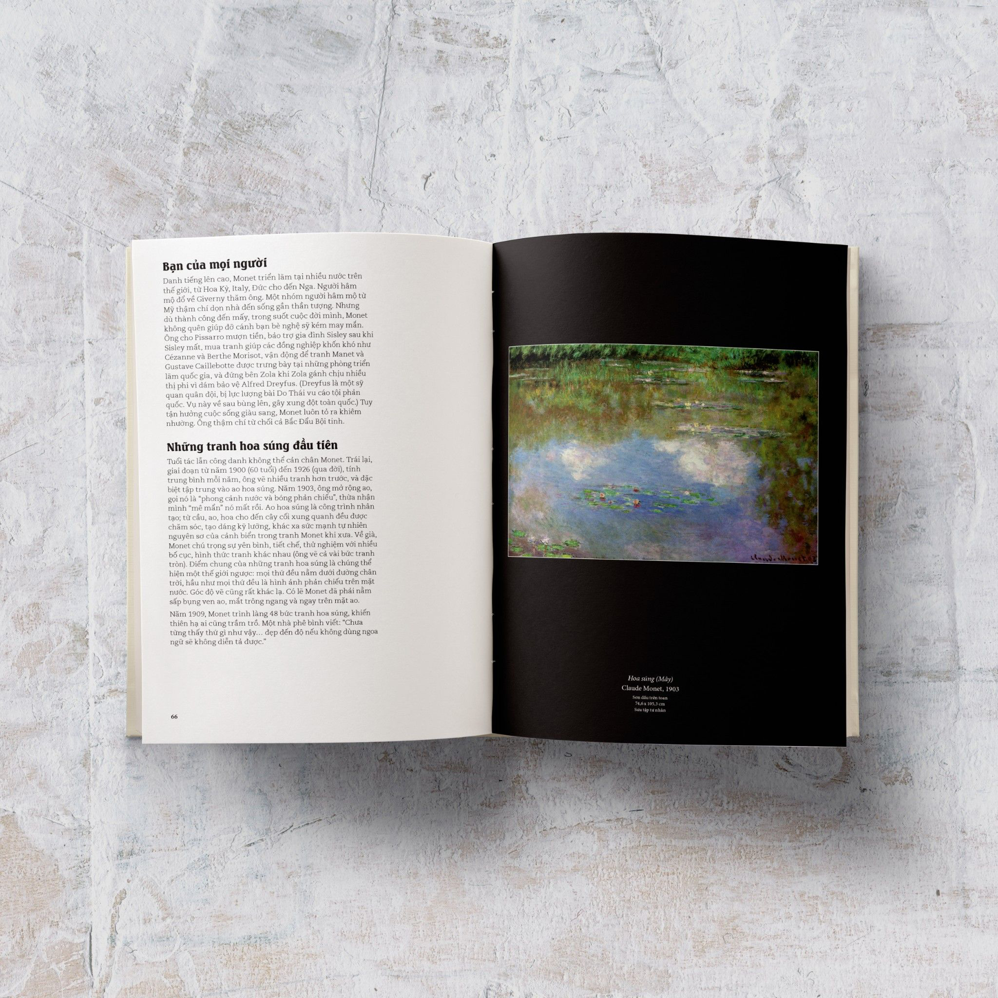 đây là monet - Ảnh 8