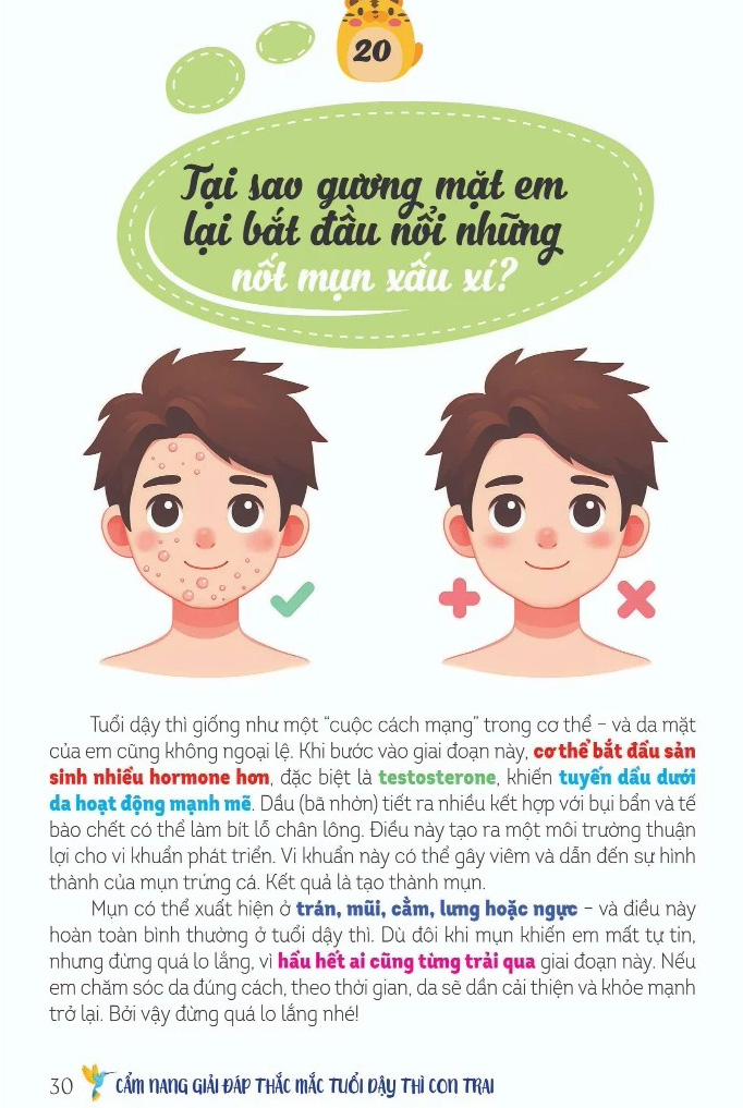 Dậy Thì Không Gì Phải Sợ - Cẩm Nang Con Trai - Ảnh 3