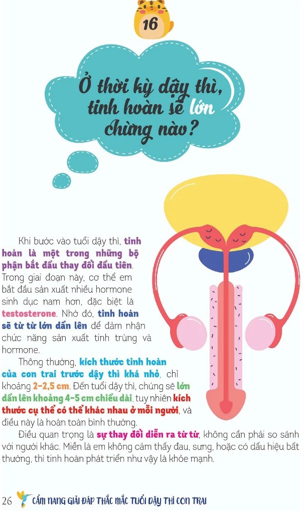 Dậy Thì Không Gì Phải Sợ - Cẩm Nang Con Trai - Ảnh 4