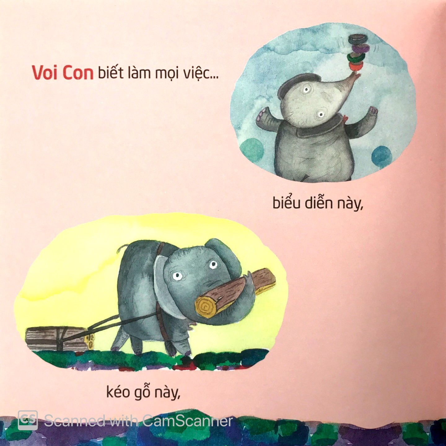 dạy voi nhảy - Ảnh 4