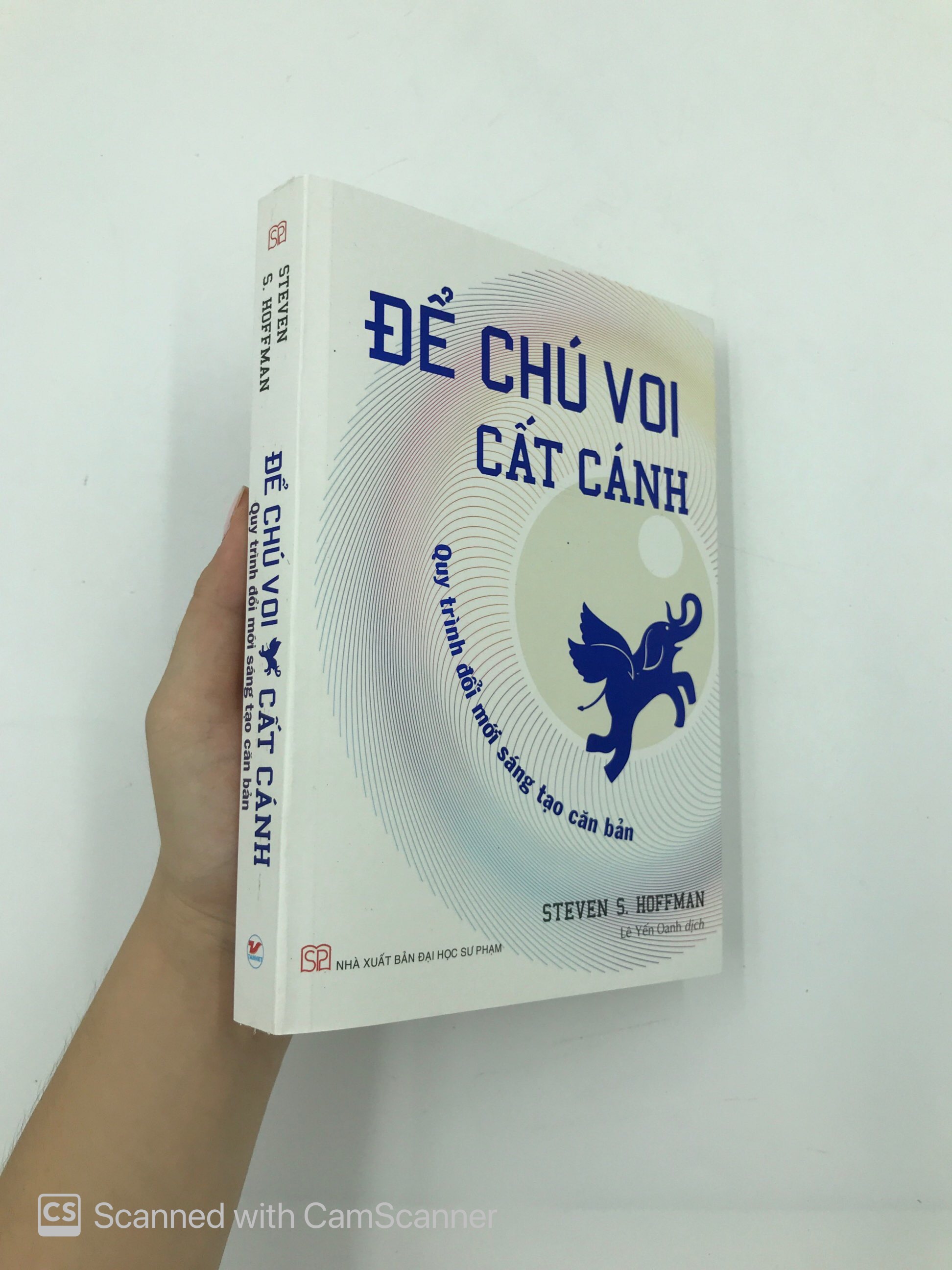 để chú voi cất cánh - quy trình đổi mới sáng tạo căn bản - Ảnh 12