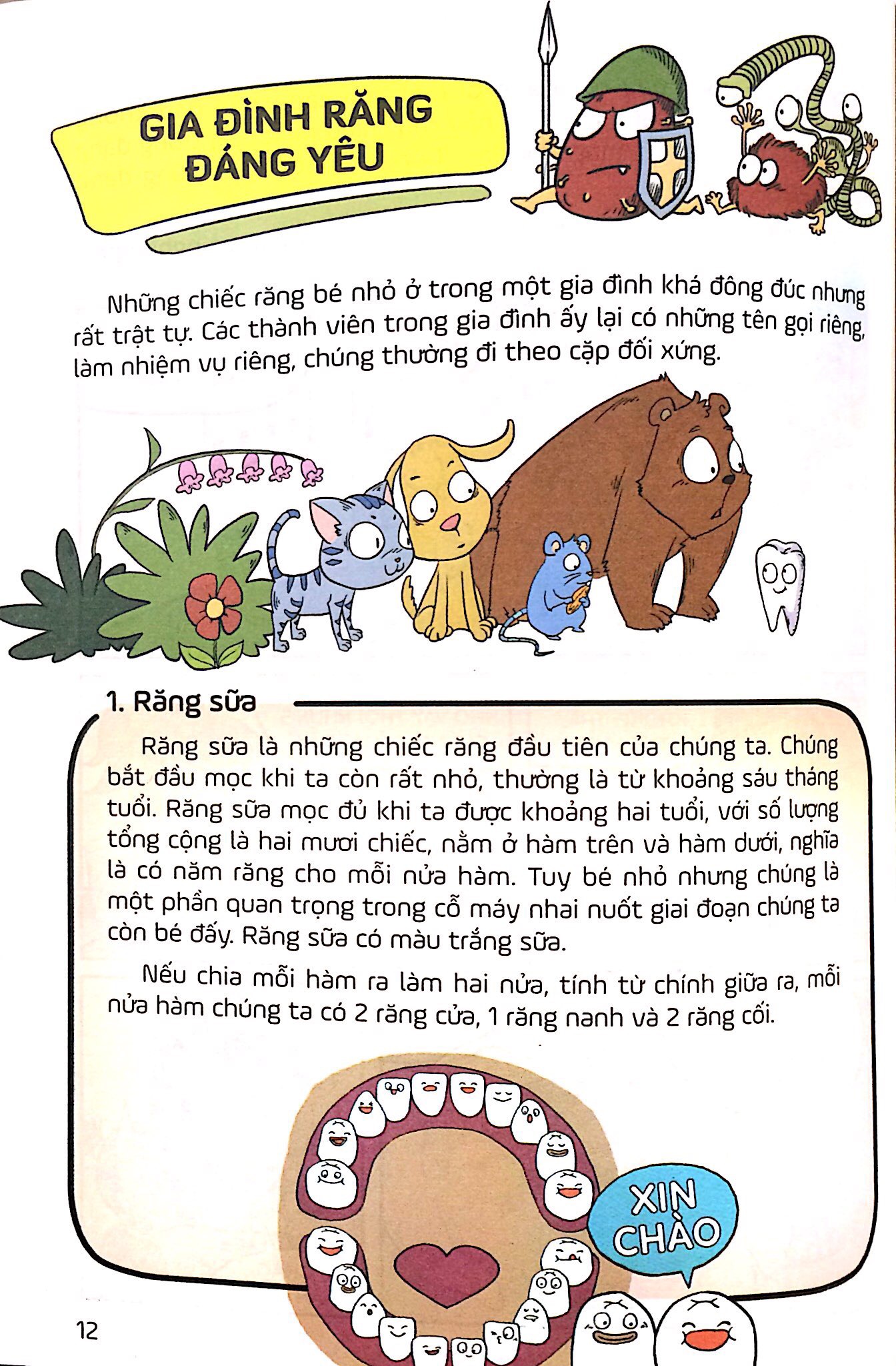 để có một cơ thể khỏe mạnh - diệt trừ sâu răng - Ảnh 9