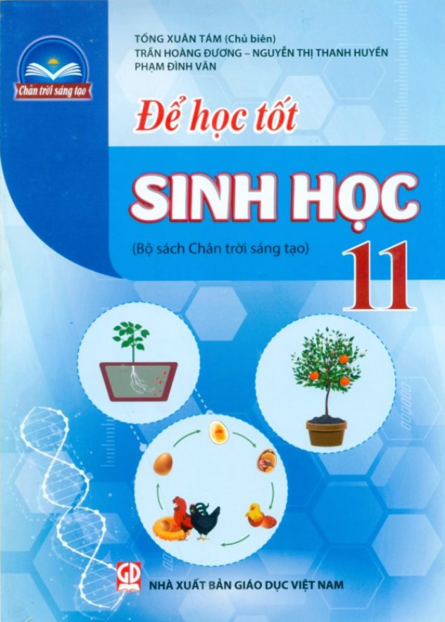 Để Học Tốt Sinh Học 11 (Chân Trời Sáng Tạo) (2023) - Ảnh 2