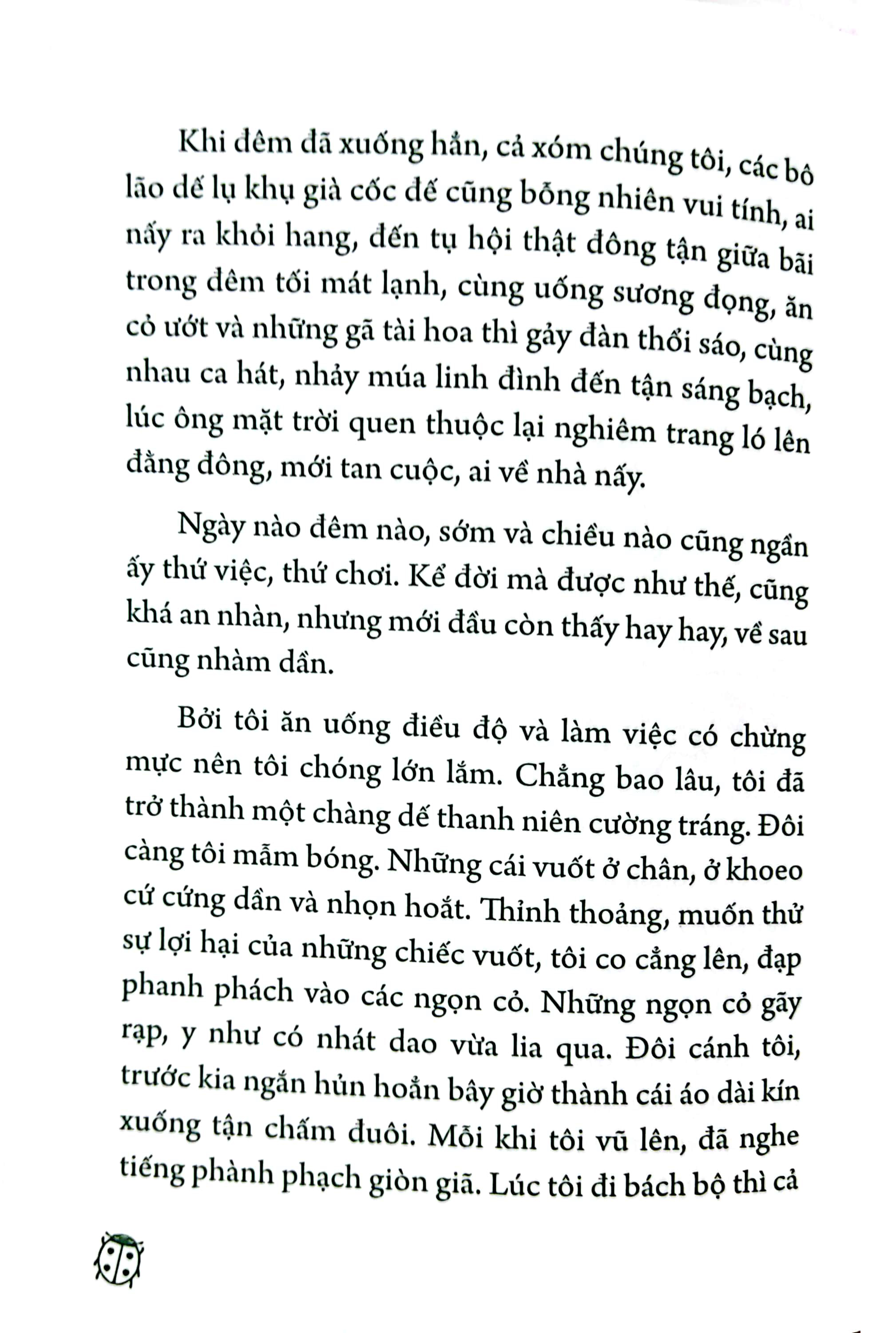 dế mèn phiêu lưu ký - ngô xuân khôi minh họa - Ảnh 6