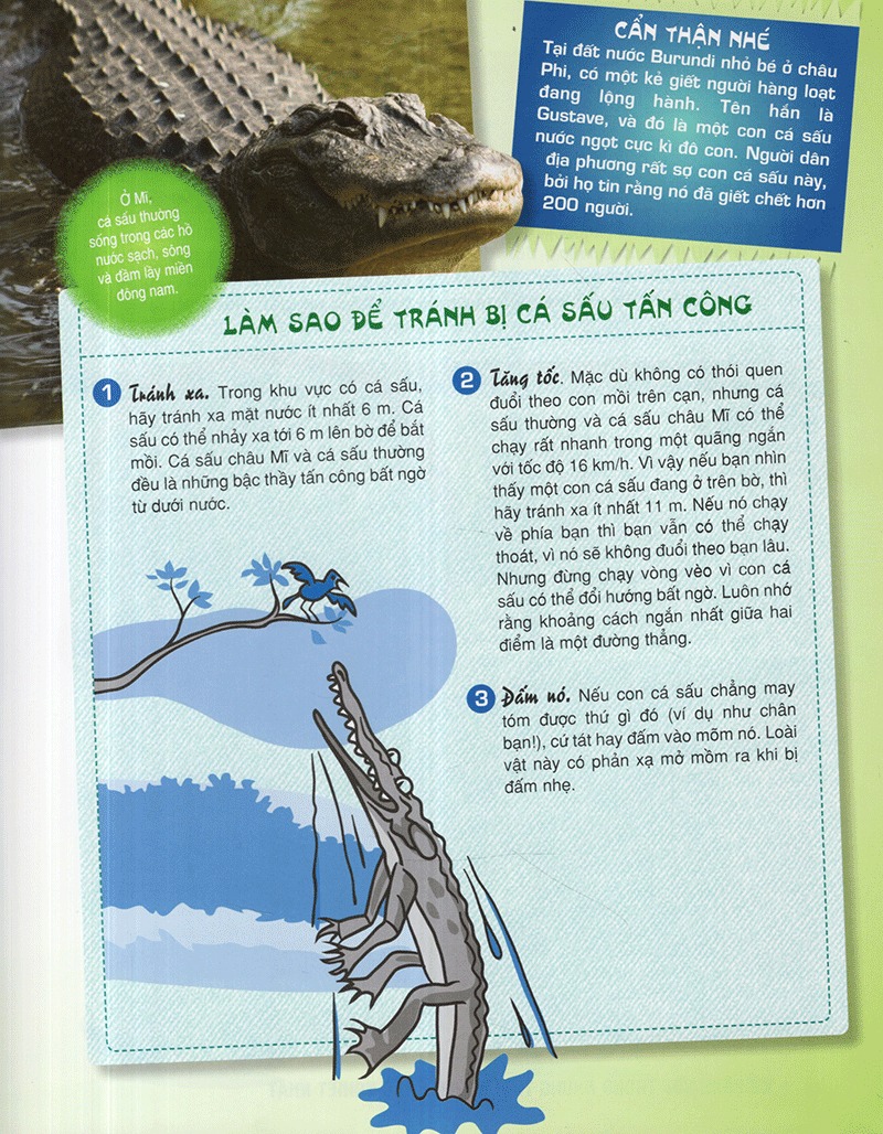 Để Sống Sót Trong Những Tình Huống Khắc Nghiệt Nhất - Bìa Cứng (Tái Bản 2025) - Ảnh 9