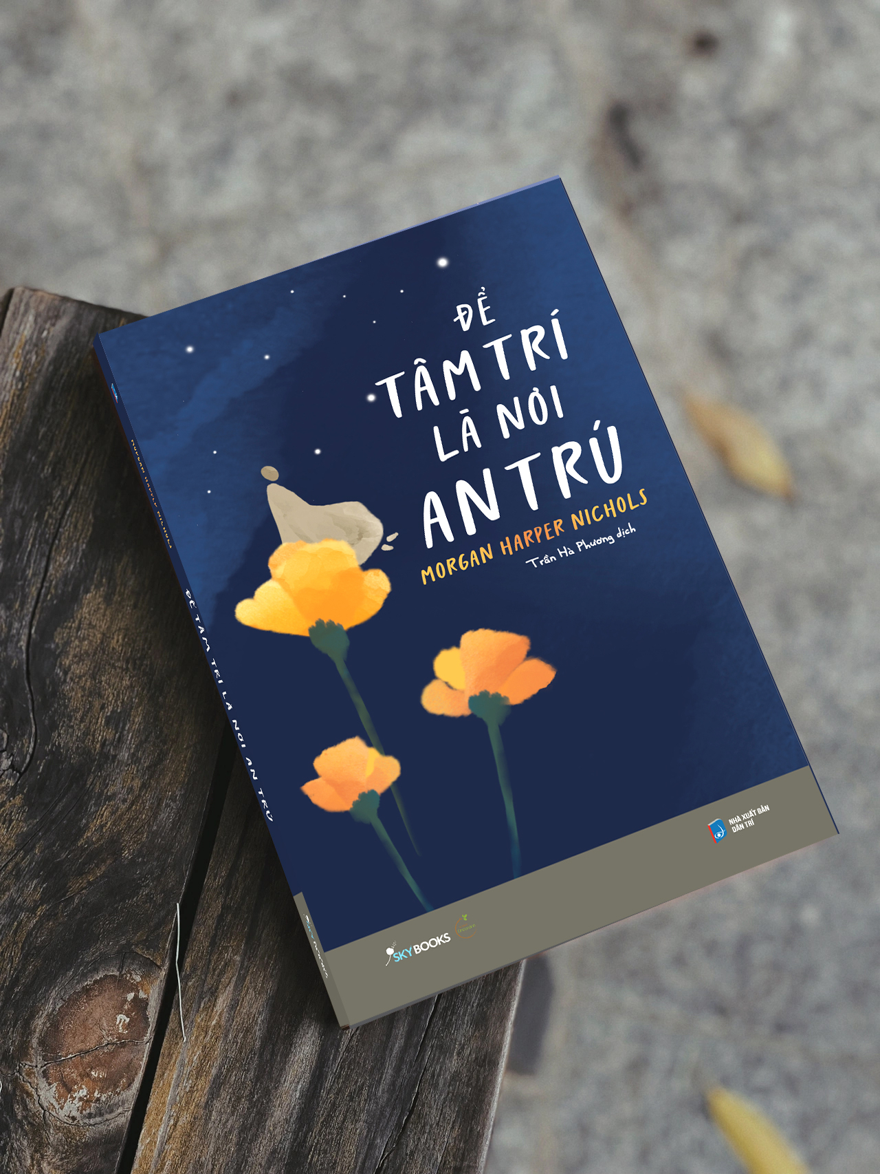 để tâm trí là nơi an trú - Ảnh 4