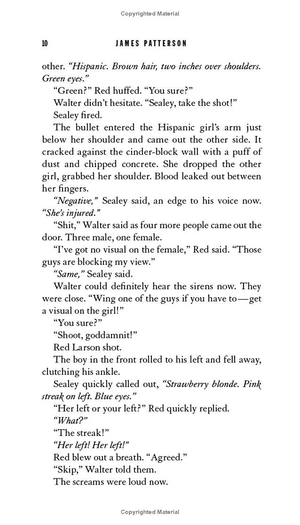 death of the black widow - Ảnh 11