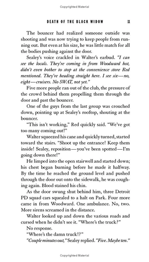 death of the black widow - Ảnh 12