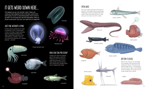 deep: dive into hidden worlds - Ảnh 3