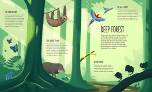 deep: dive into hidden worlds - Ảnh 5