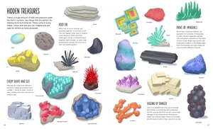 deep: dive into hidden worlds - Ảnh 6