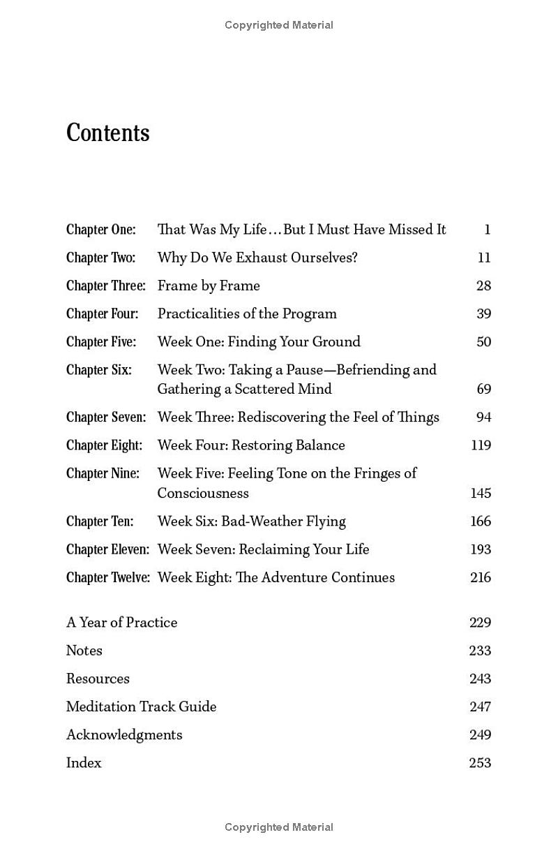 Deeper Mindfulness - Ảnh 3