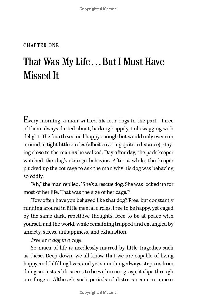 Deeper Mindfulness - Ảnh 4