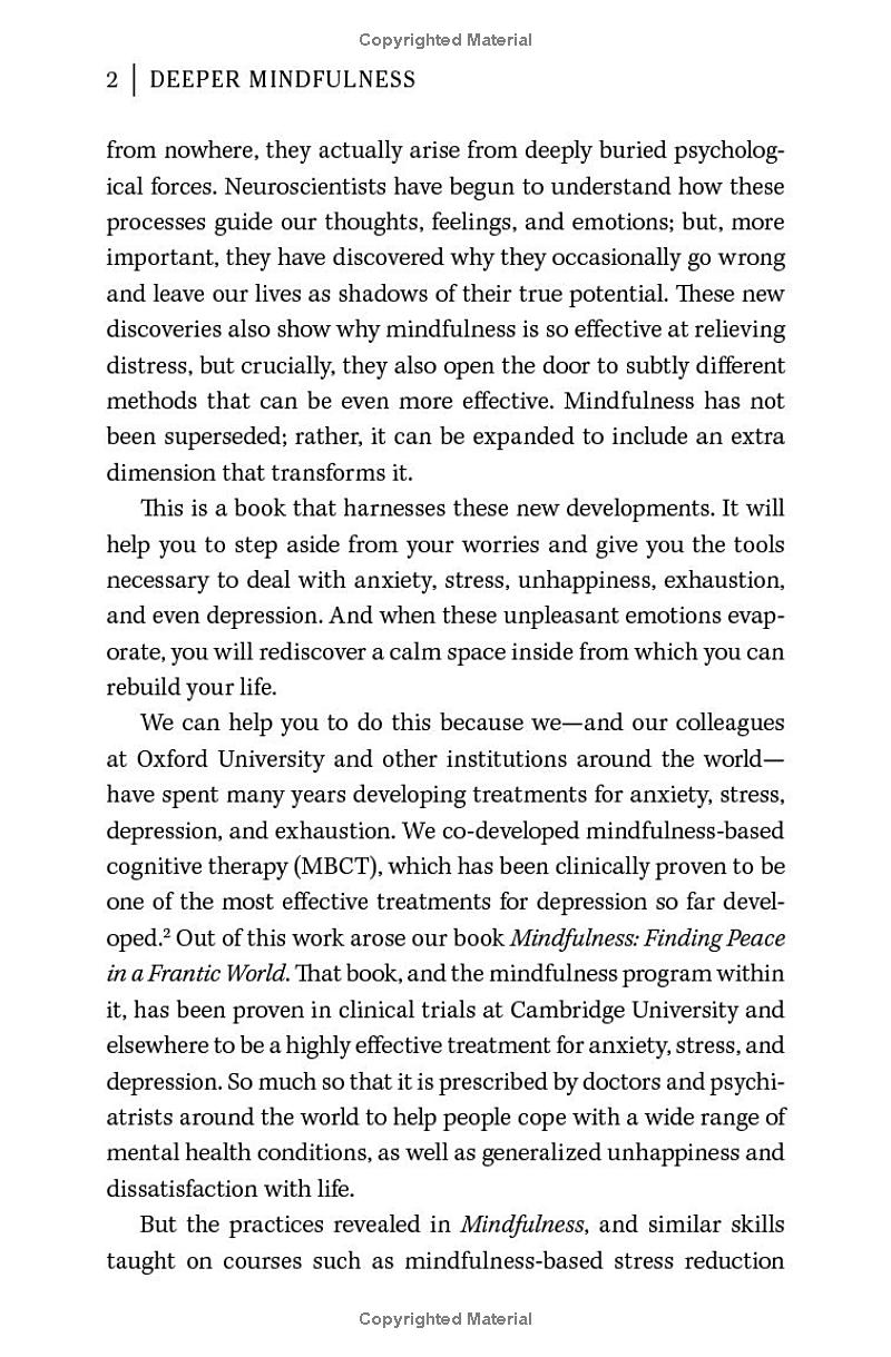 Deeper Mindfulness - Ảnh 5