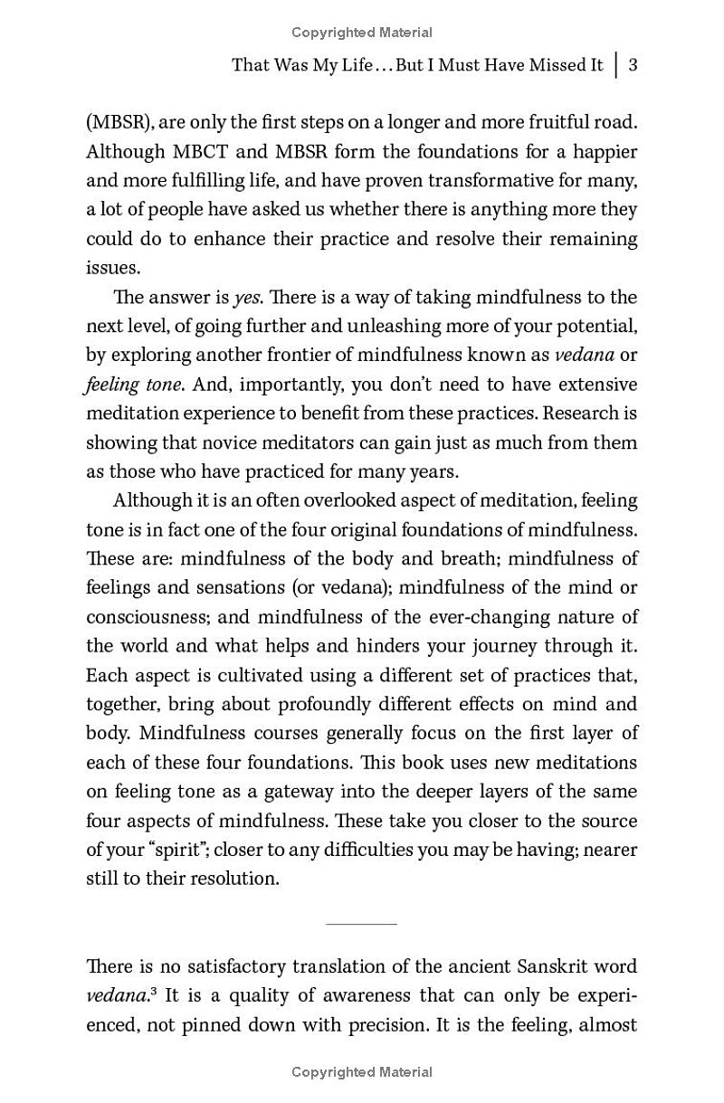 Deeper Mindfulness - Ảnh 6