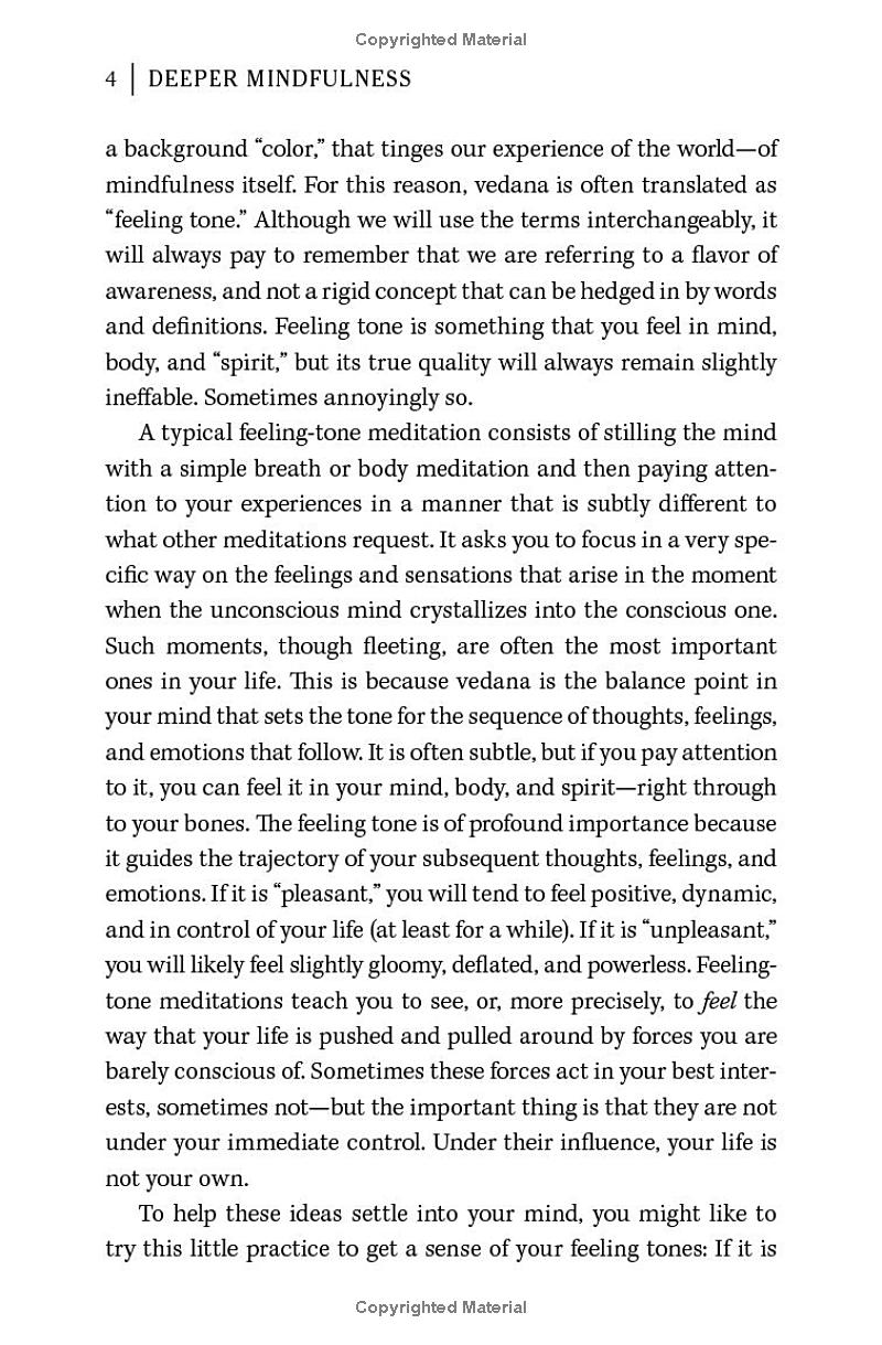 Deeper Mindfulness - Ảnh 7