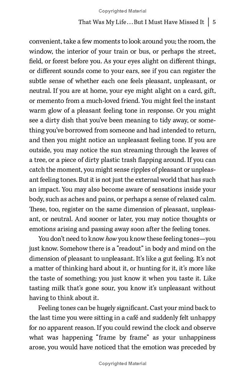 Deeper Mindfulness - Ảnh 8