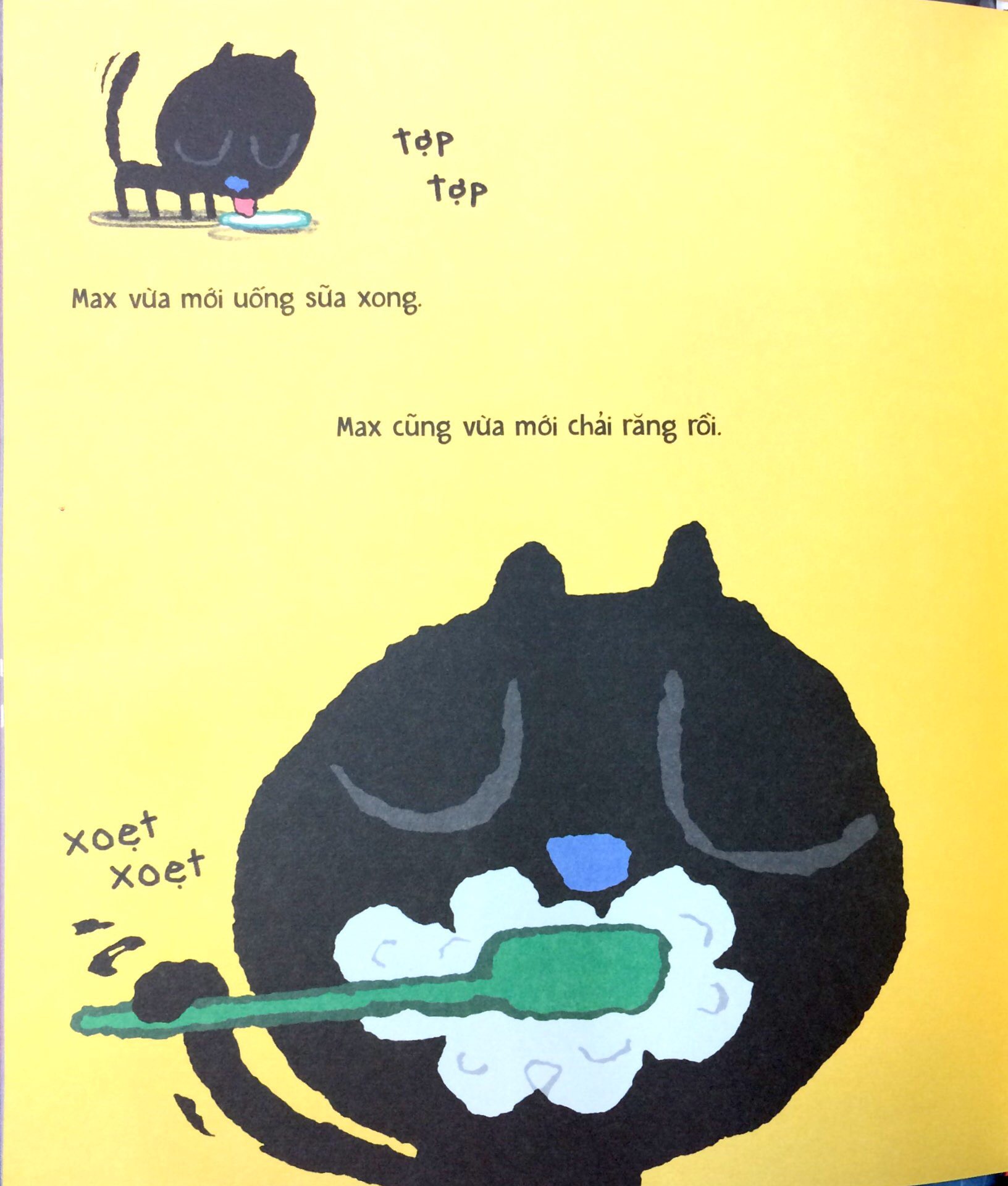 đêm của mèo max - Ảnh 4