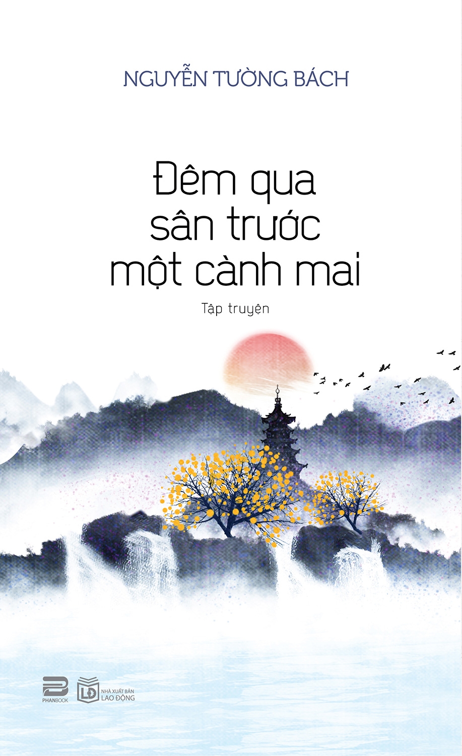 đêm qua sân trước một cành mai - Ảnh 2