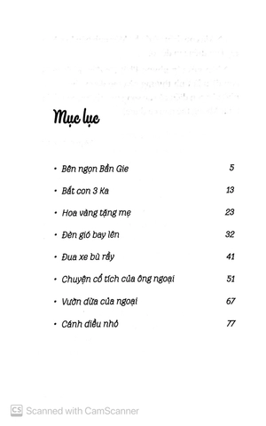 đèn gió bay lên - Ảnh 3