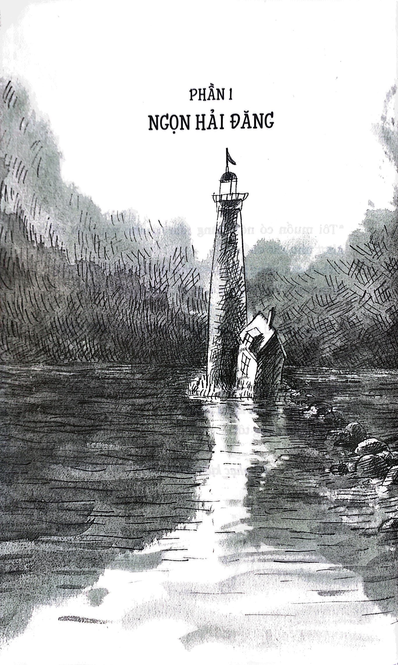 đèn nhỏ và những đứa con của biển - Ảnh 3