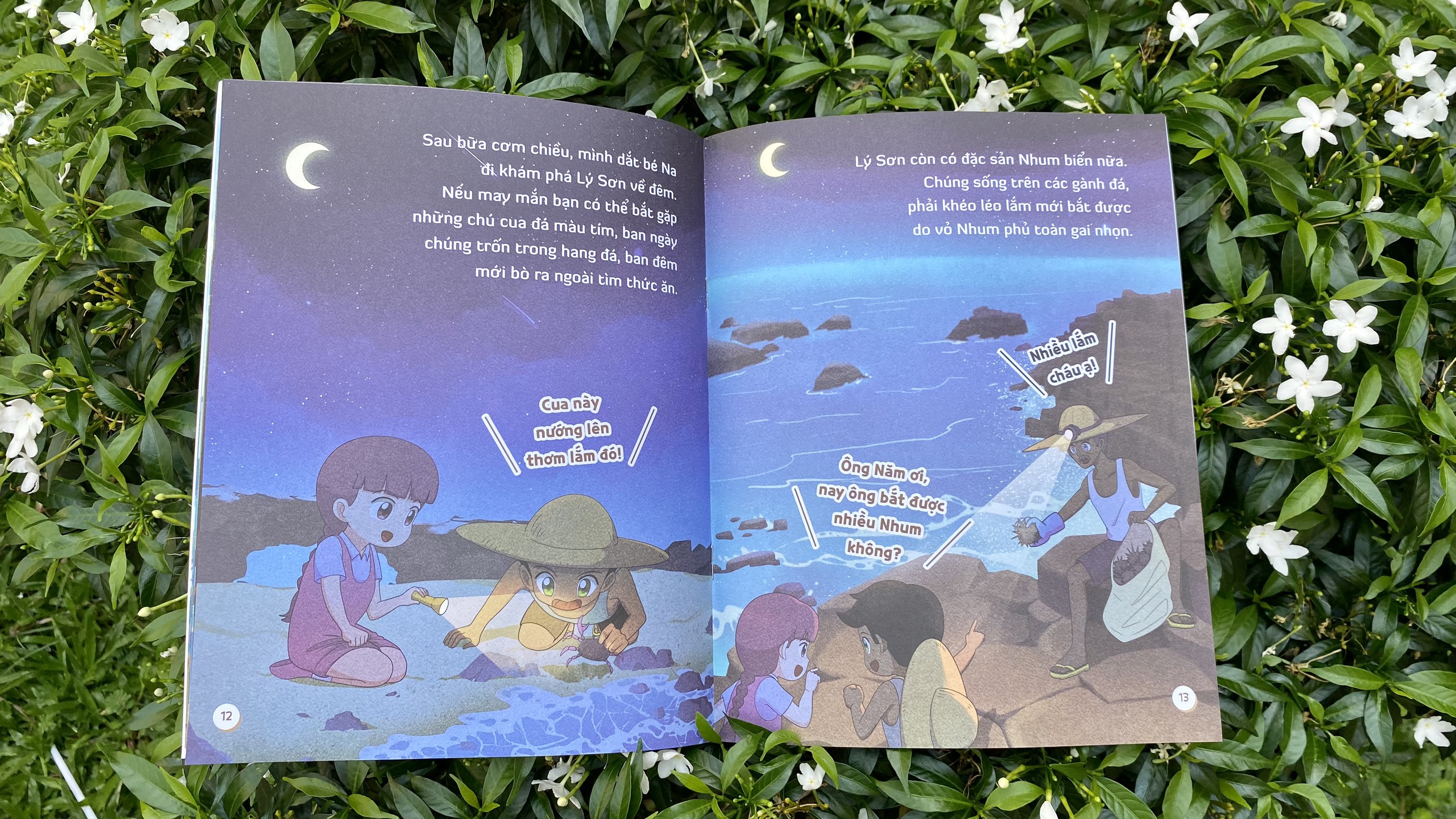 đến thăm thành phố của em: lý sơn kỳ vĩ - Ảnh 5