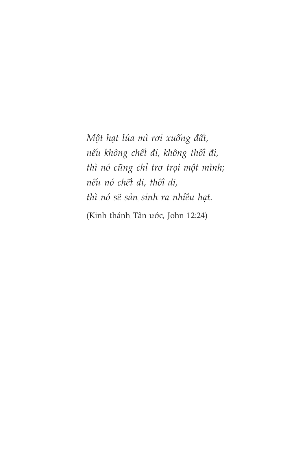 đèo shiokari - Ảnh 4