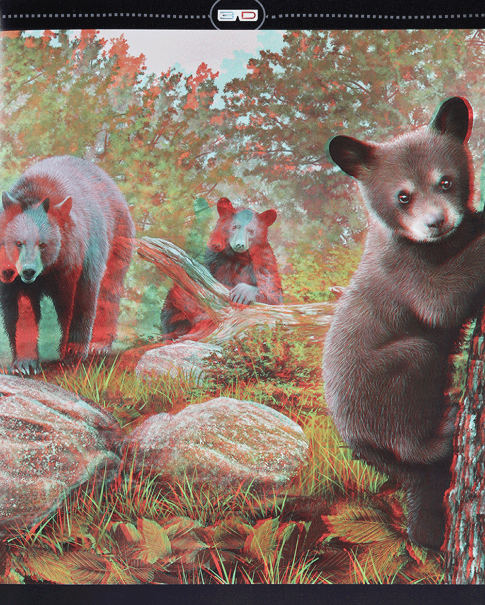 di chuyển và di cư - Ảnh 11