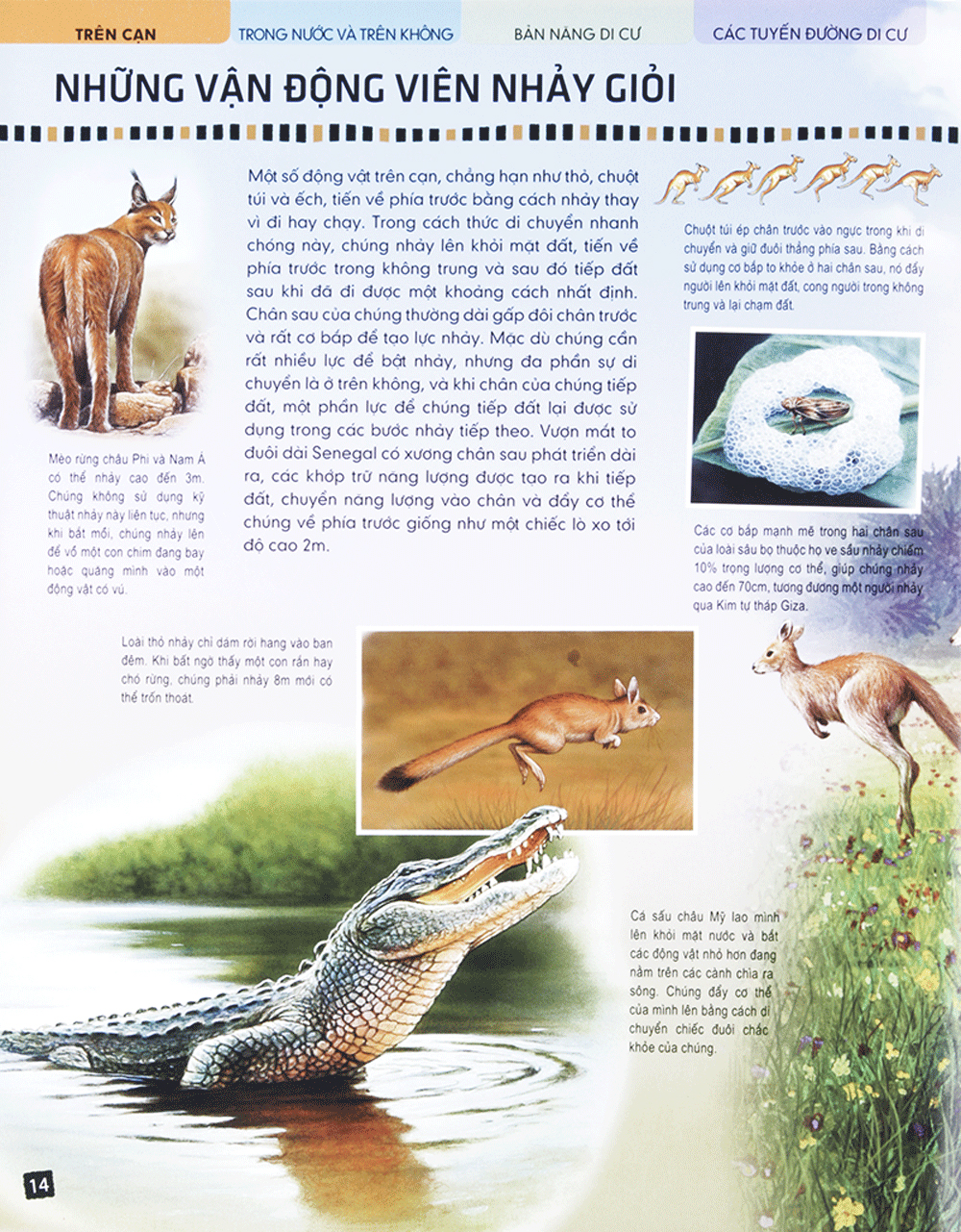 di chuyển và di cư - Ảnh 12