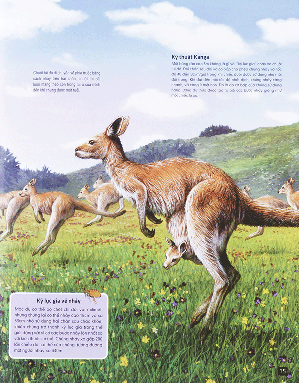 di chuyển và di cư - Ảnh 13